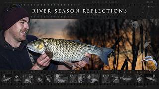 River Season Reflections (Big Chub, Roach & Zander)