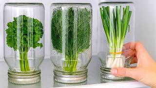 🔴Stop freezing your herbs! Chef’s secret to fresh green onion, parsley, herbs for months