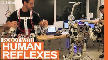 Human Reflexes to a Robotic Avatar