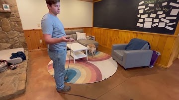 Introducing an E-Collar with Positive Reinforcement