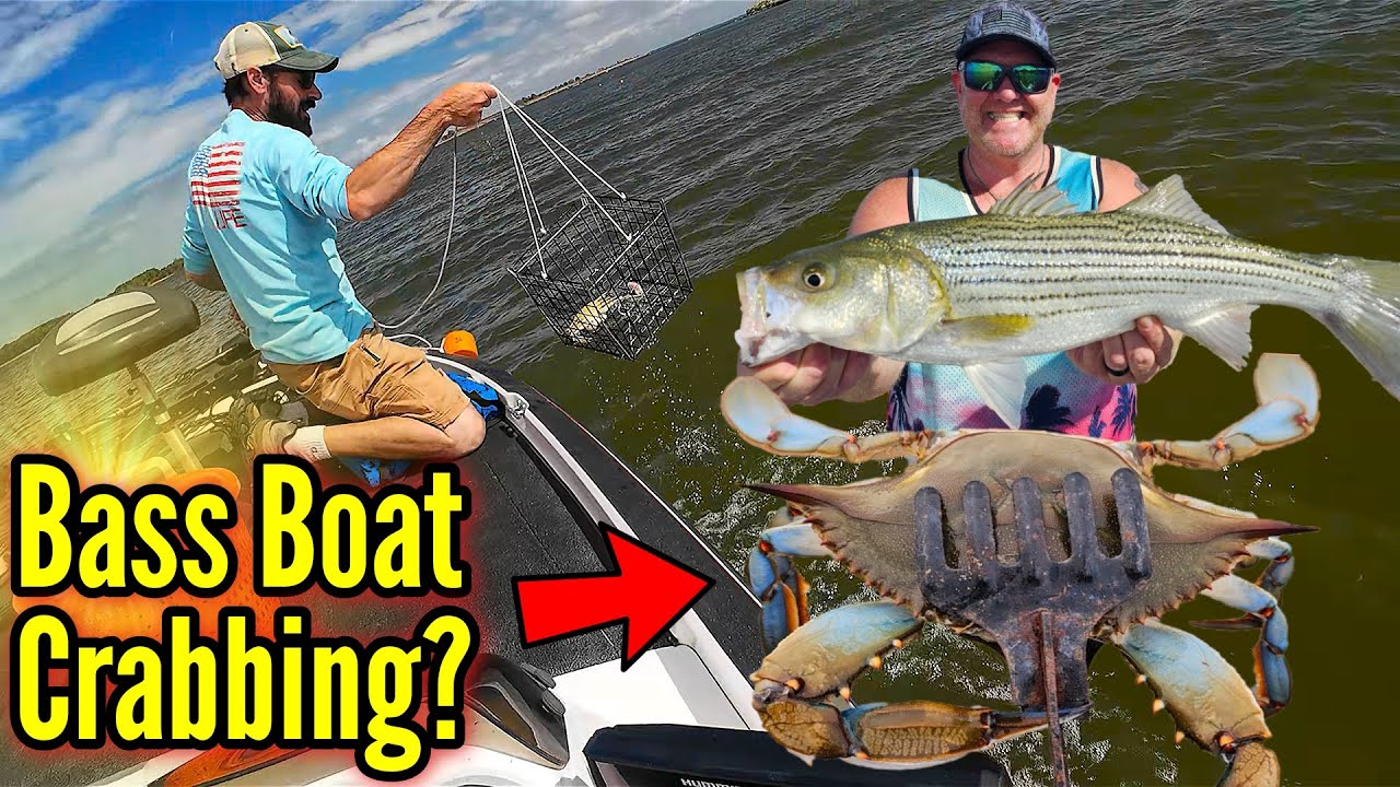 Experimental Crabbing in a Bass Boat? Don't FALL OUT!! October Fishing & Crabbing