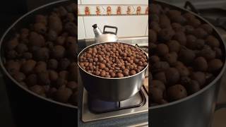 Download Lagu Preparación de Arlita o Leca para cultivar plantas en agua #hidroponia MP3