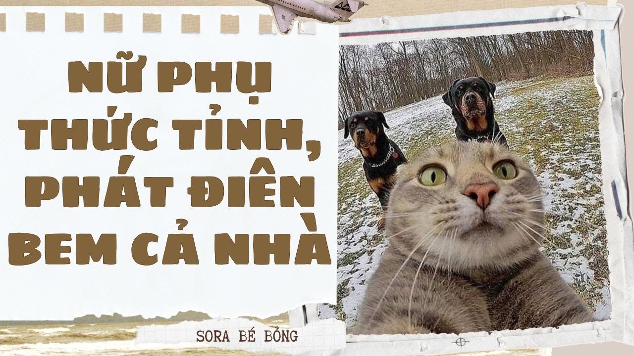 [Truyện Audio ] [FULL] NỮ PHỤ THỨC TỈNH, PHÁT ĐIÊN BEM CẢ NHÀ || Sora Bé Bỏng