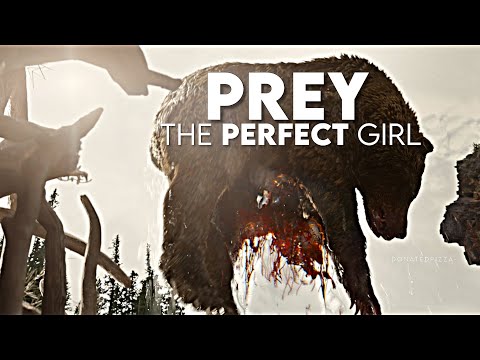 The Perfect Predator [Prey]