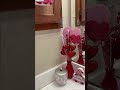 Valentine’s Bathroom Decor ✨💕