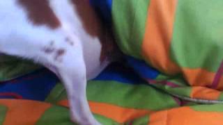 Capture 20120904 2