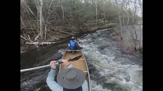 BWCA 2022 short