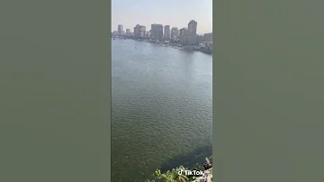 حسين الجسمي مصر على رأي القال ربنا الحاميها 