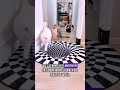 Playful Cats Didn’t See This Clever Surprise Coming 😻❤️