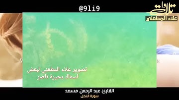 من عمل صالحاً من ذكرٕ او انثى .القارئ عبد الرحمن مسعد