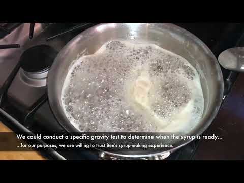 From Sap to Syrup: Making Maple Syrup Part 2