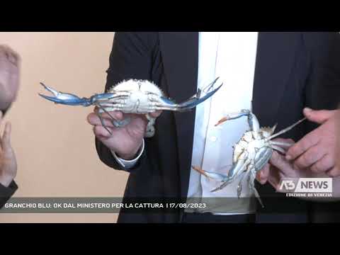 GRANCHIO BLU: OK DAL MINISTERO PER LA CATTURA  | 17/08/2023