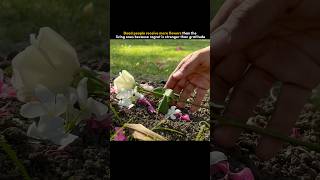 Men get their first flowers on their funeral 💐#flowers #funeral #storytelling  #motivation #regret