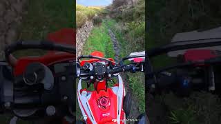 Single Track or Stream? 😂 Beta 300 X-Pro Sends It! #Beta300XPro #Enduro #SingleTrack