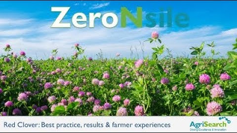 Red Clover Webinar on Best practices, Results & Farmer experiences