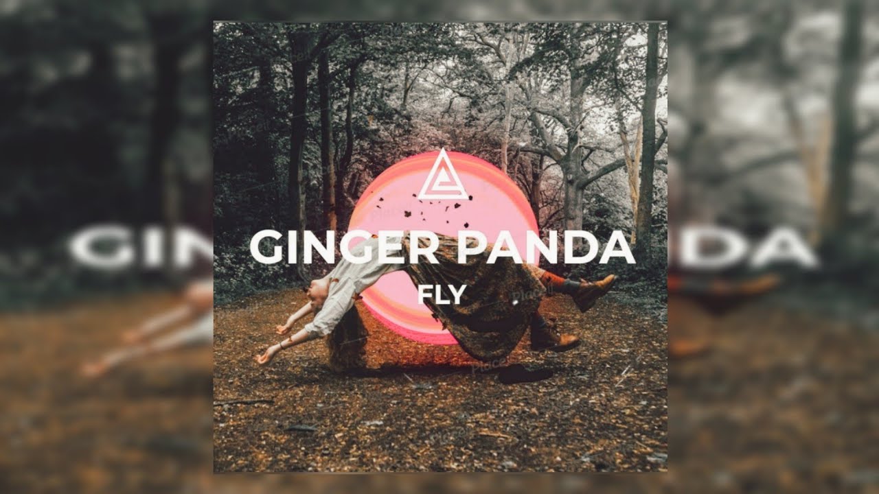 Ginger Panda - Fly - YouTube