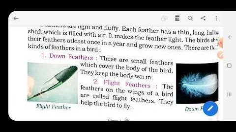 Class III Science Ch 4 (Birds, feathers, Beak and Claws) Video Part 1