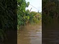 Penyaluran Bantuan Nasi Bungkus Korban Terdampak Banjir Gabus, Pati, Jawa Tengah 2026 (Hari 1)