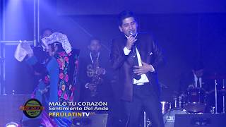 Video thumbnail of "Malo Tú Corazón - SENTIMIENTO DEL ANDE (En Vivo) Tunantada"