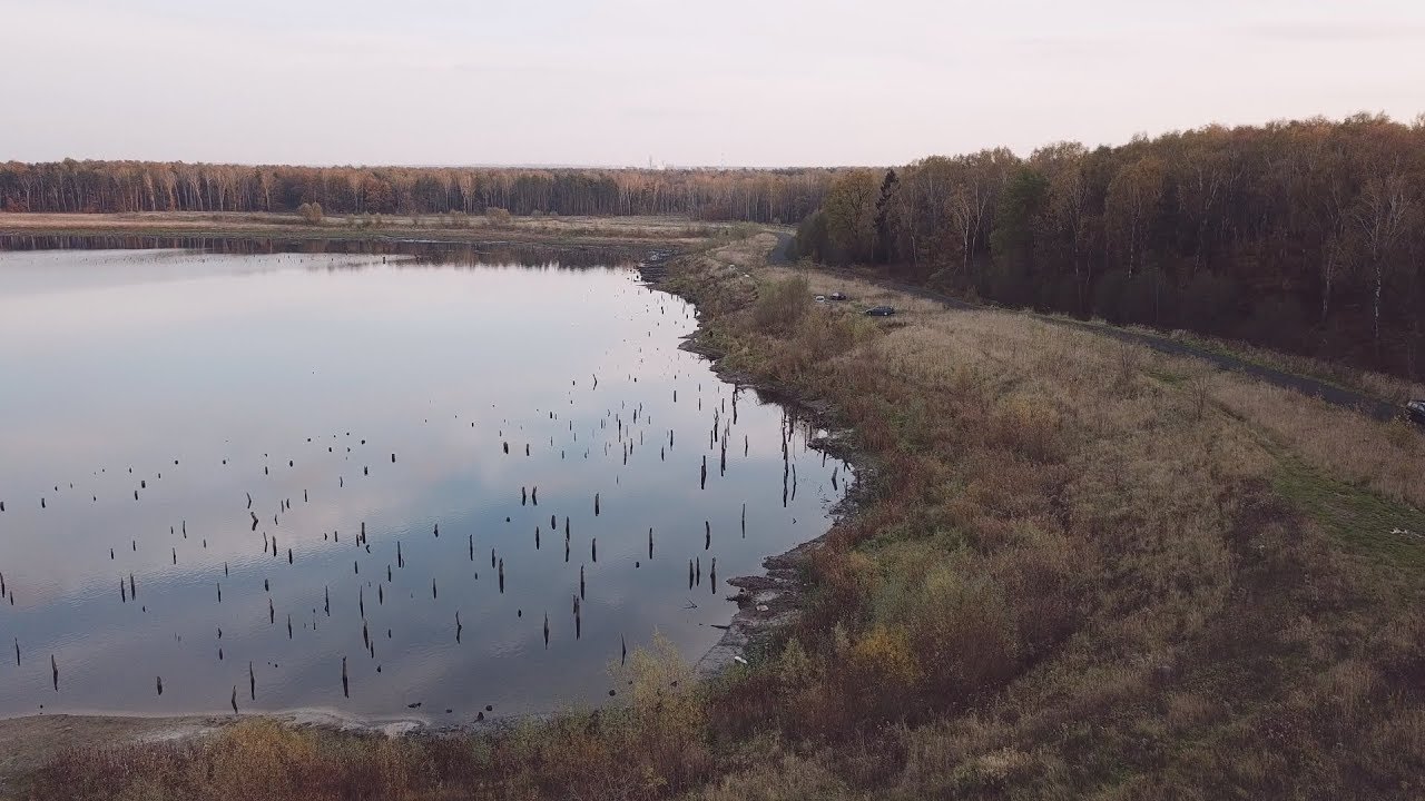 Knurów - widok z drona. Staw Leśny.