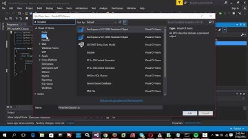 XPO Oracle generate persistent classes with visual studio and fix bad  image exception