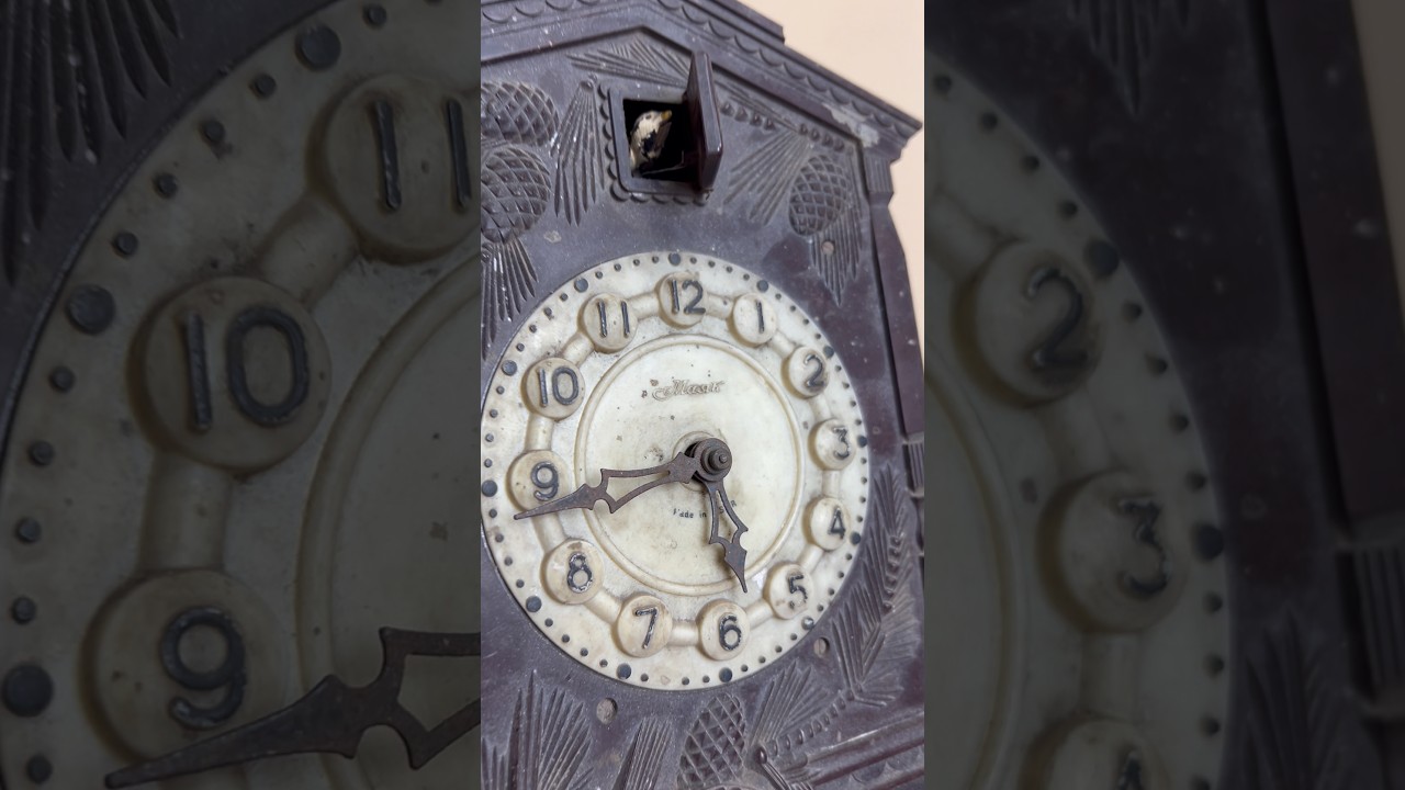 What's inside a cuckoo clock? I restored the bellows (the whistles that make the sound).