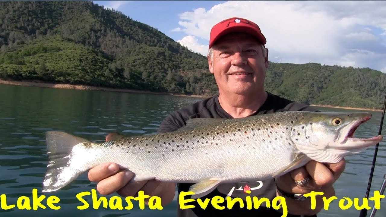 Lake Shasta Evening Trout Fishing 