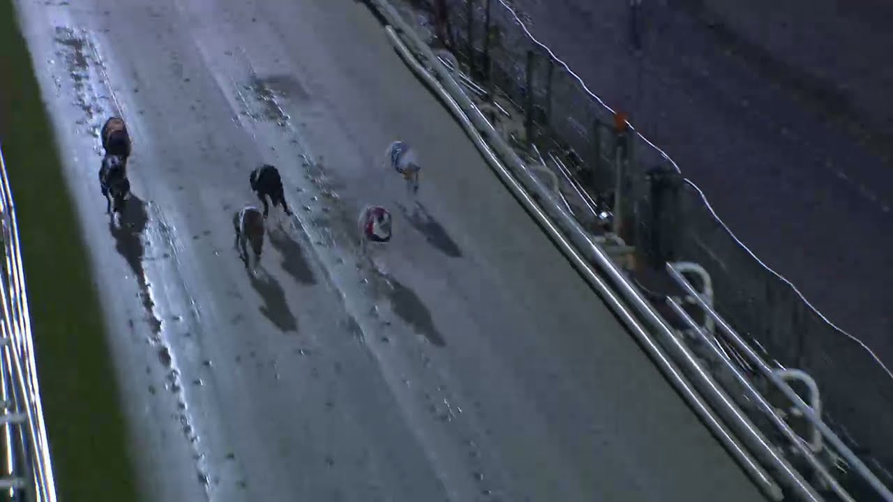 2021 BGBF DUAL DISTANCE FINAL - T1 DENMARK