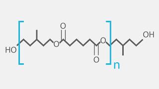 Kuraray Polyols (2019)