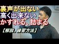 裏声が全く出ない、高さが変えれない、かすれる、詰まる。【練習方法】