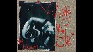 Willing to Fight - Ani Difranco