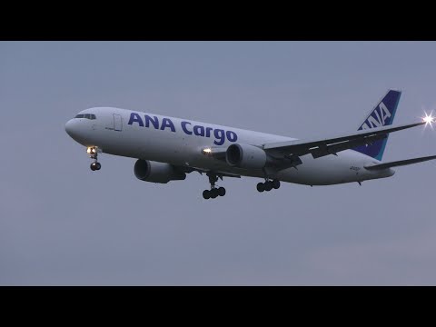 全日空　ANA CARGO B767-300F JA602F 1/200 全日空 ANA CARGO B767-300F JA602F 1/200 JA604F ANA Cargo