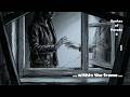 Within the Frame (AfterDark Edit)