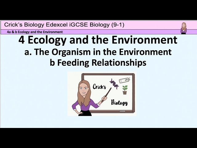 Ecology Terms and Feeding Relationships/Biology /iGCSE Ecology and the Environment/Crick's Biology
