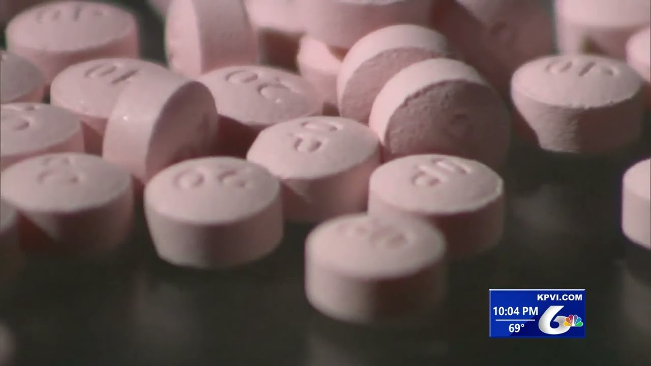 Idaho State Police Top Gun Narcotics Training Program