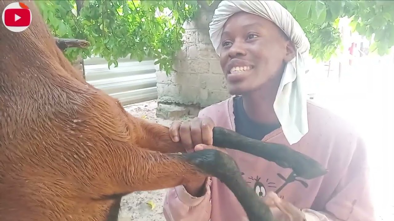 Oshikombo sha Ndemtyavela || Km_skits.Wambo