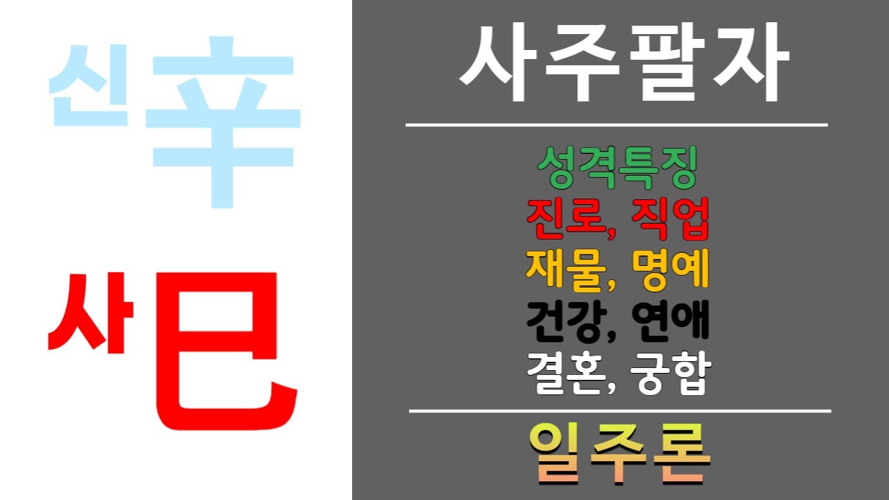 내 사주에 신사일주가 있으면? 귀티,  관운, 공직자, 대기업,  직장인으로 성공한다.