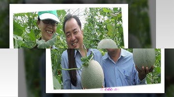 Tham quan Khu Nông nghiệp Công nghệ cao