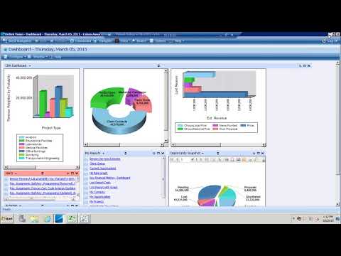 Deltek Vision Performance Management Demonstration