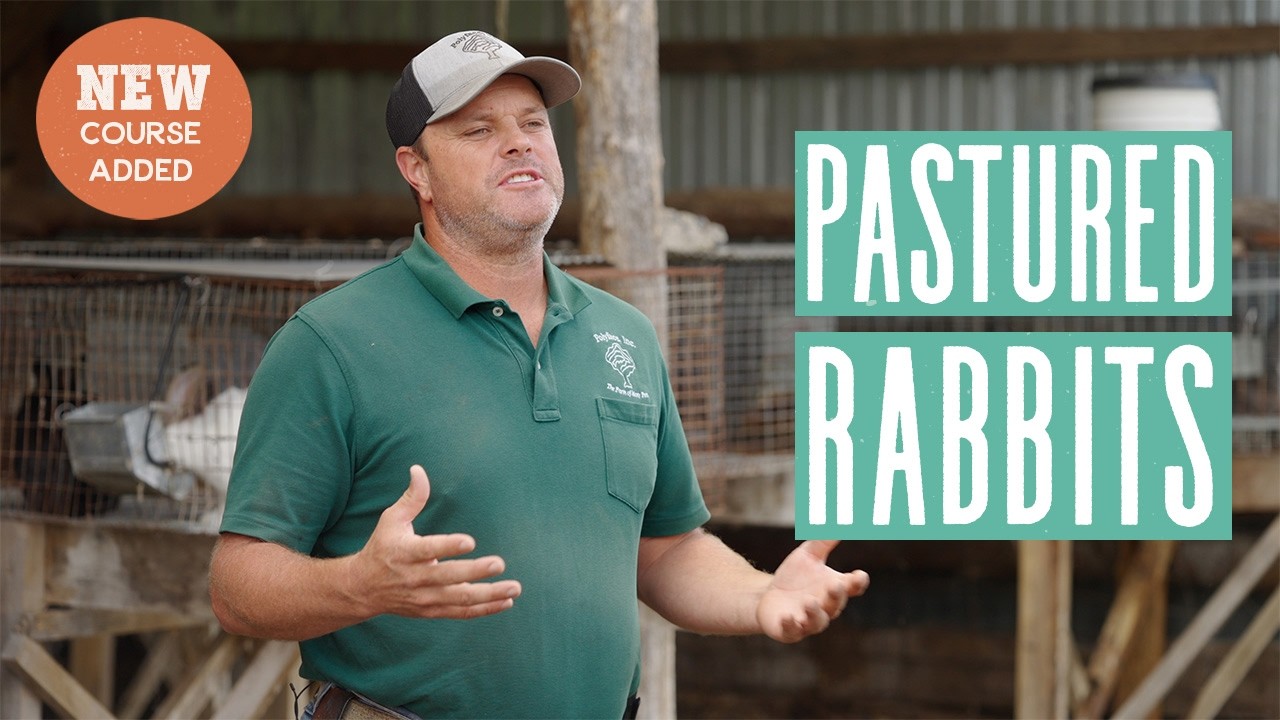 Learn to Raise Pastured Rabbits (Trailer) - YouTube