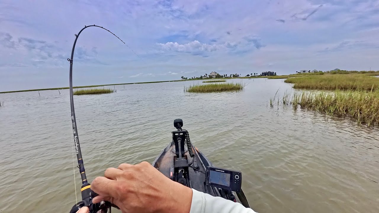 Every fish was too big: Galveston Island was loaded with them (S9 E1)