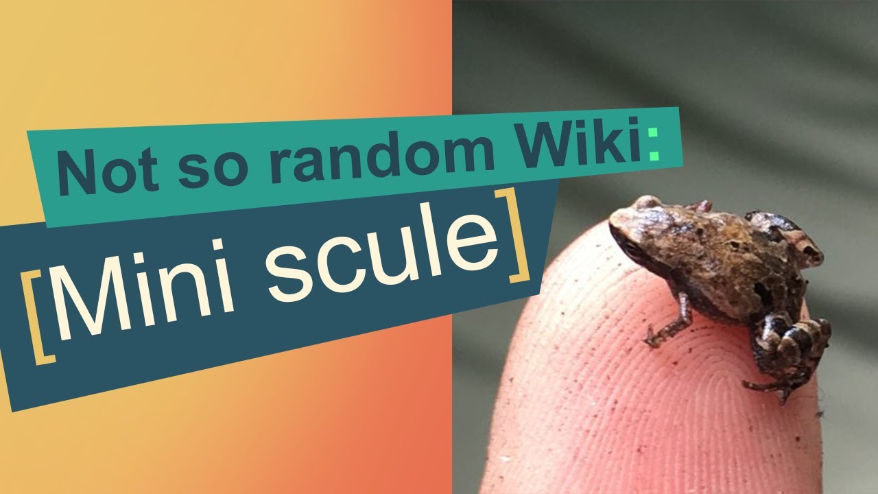 007 Mini scule: Not so random Wiki - YouTube
