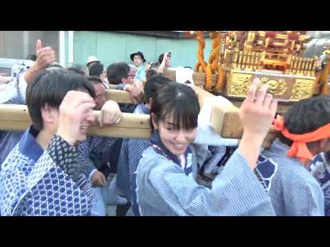 福生八雲神社例祭礼みこし志茂と志茂二と牛一のみこし競り合い(本宮)   2023