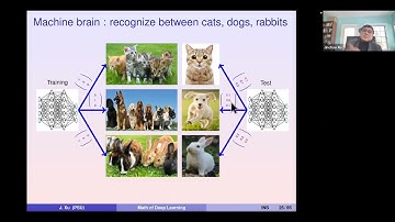 Mathematical Understanding of Artificial Intelligence