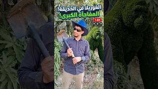 GIANT GORILLA! 🦍وجود اكبر غوريلا  للحديقة #shorts #art #satisfying