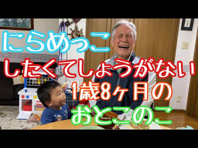 TOHOスリープアイ大介くん SUB) a 1 year old boy desperately wanting to have a staring