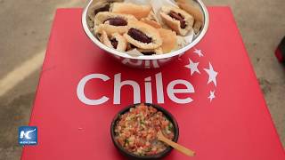 Descubre recetas de Chile en aplicación móvil screenshot 5
