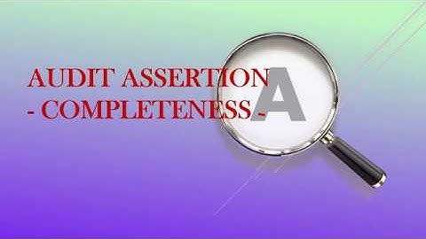 AUDIT ASSERTION   COMPLETENESS