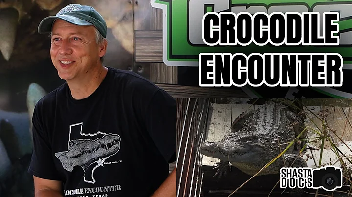 Chris Dieter: Crocodile Encounter I ShastaDocs