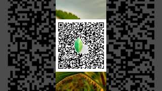 Snapseed qr code and edit your image #shortvideo #shortsfeed #viral #shortvideo